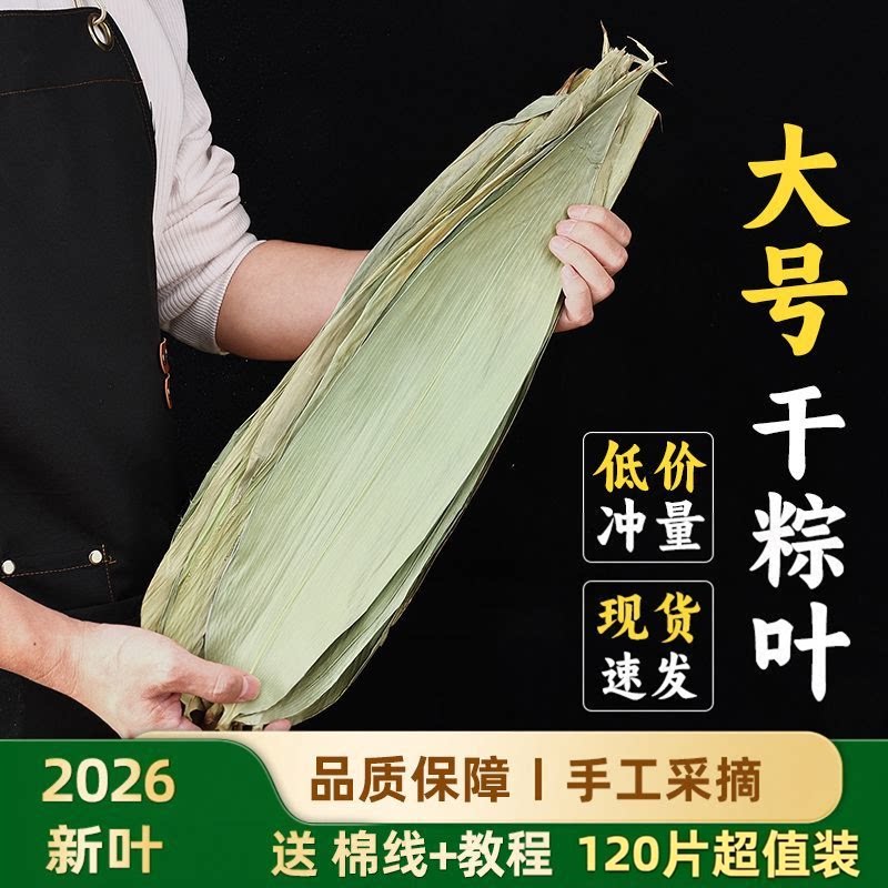 【超值120片】干粽叶大号新鲜粽叶芦苇叶端午节包粽子送绳子教程