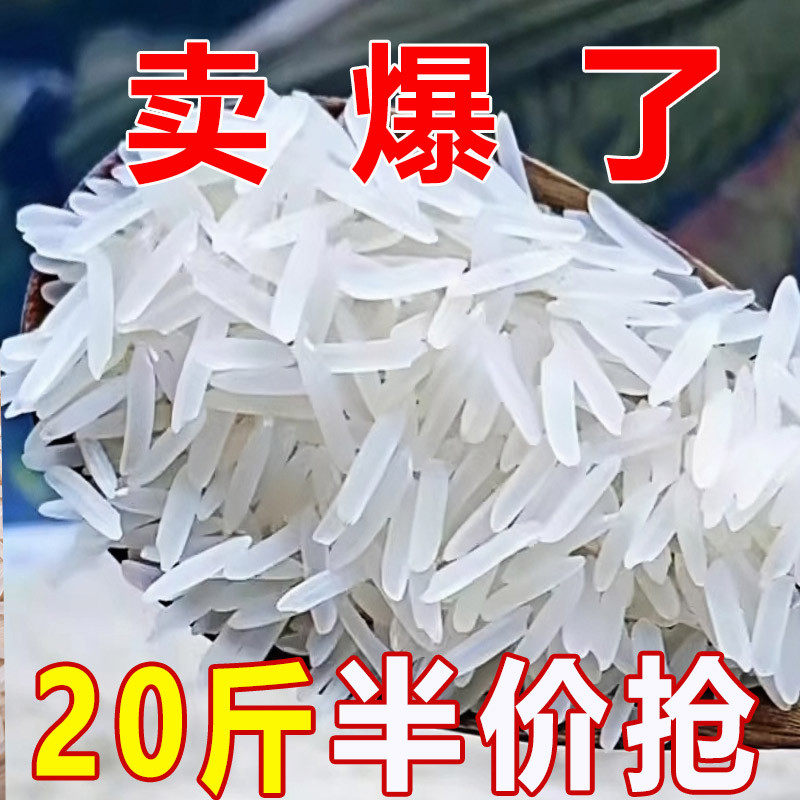 【特价】20斤品质新米猫牙米细长大米粒当季长粒香煮饭蛋炒煲仔饭