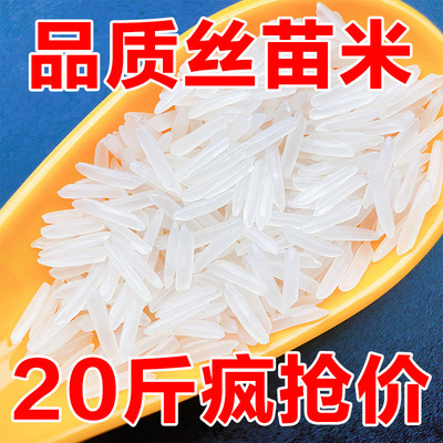 20斤当季晚稻丝苗长粒10斤香米新米象牙米茉莉香米大米猫牙油粘米