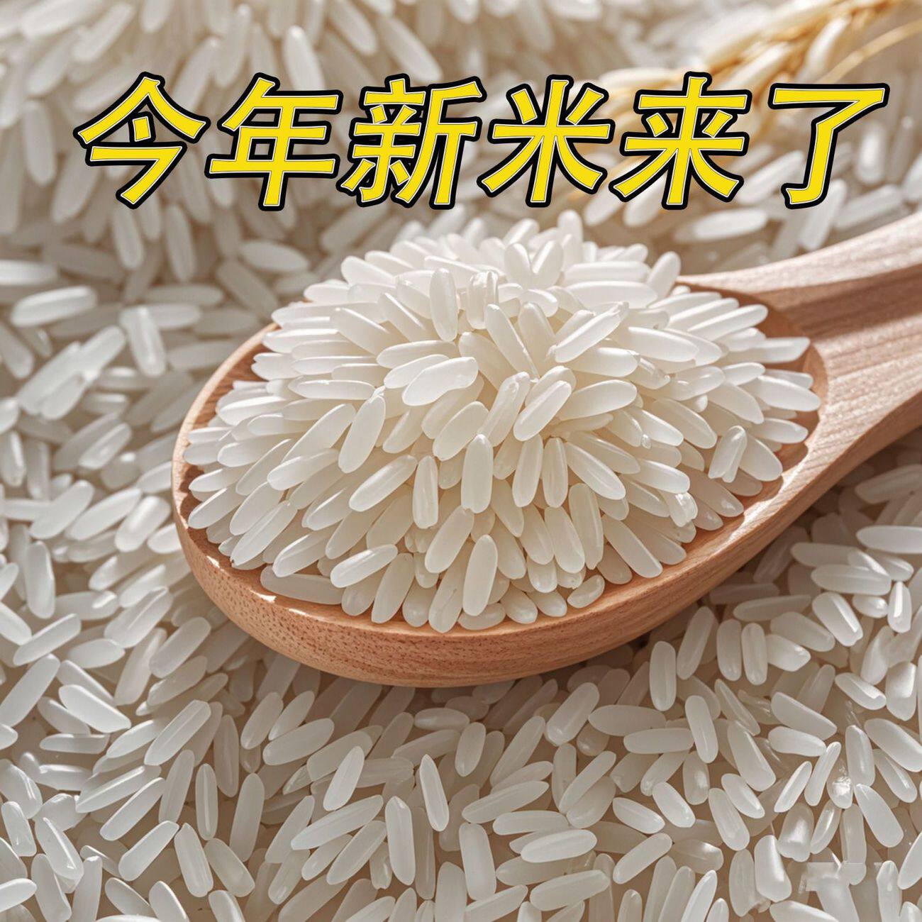 【批发价】品质长粒香米20斤丝苗米煲仔饭大米籼米10斤大米一级米