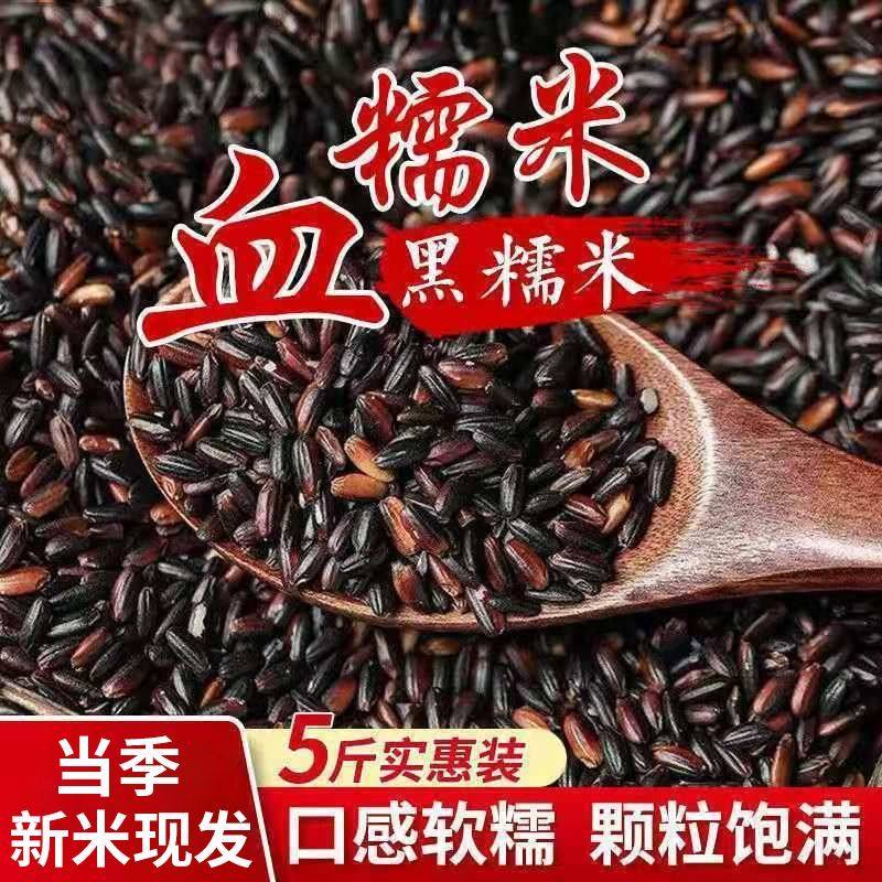 东北血糯米优质黑糯米 粽子甜品糕点原材料糯米粥糯米饭紫米罐头