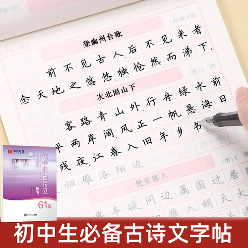 练字帖初中生专用行楷楷书套装