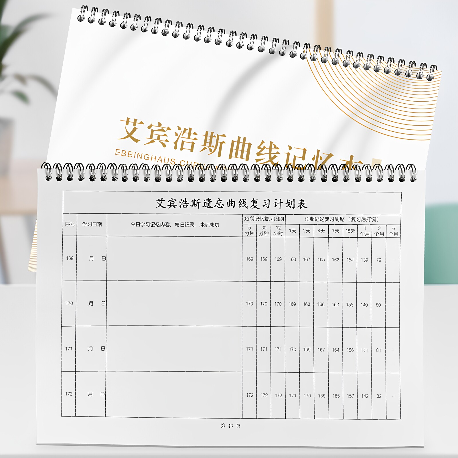 提高英语语文曲线记忆本一年一本