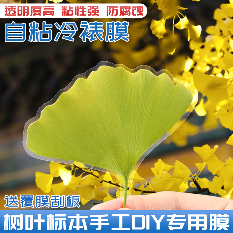 树叶标本冷裱膜保护膜加厚膜