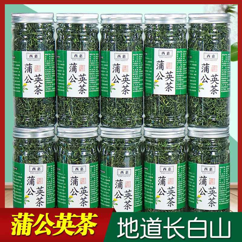 正品特长白山蒲公英茶