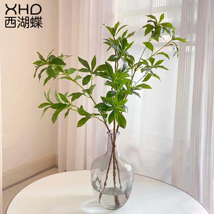 饰摆落地盆栽 仿真手感绿植日本吊钟树枝客厅桌面马醉木植物装