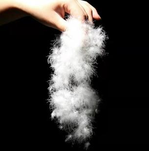 云中鸟精洗无菌95白鹅吊吊绒羽绒服羽绒被原料填充（单件50g)