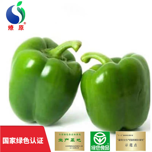 寿光本地菜椒燎原绿色圆椒