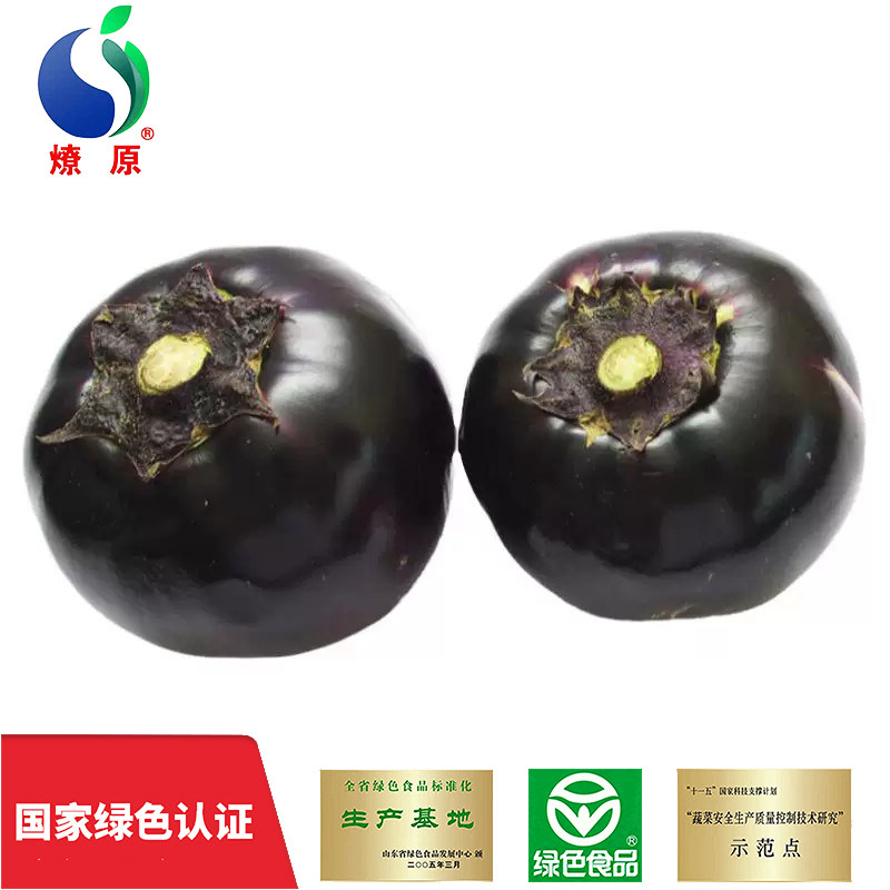 燎原绿色圆茄子2斤紫茄子 当季新鲜蔬菜基地自种