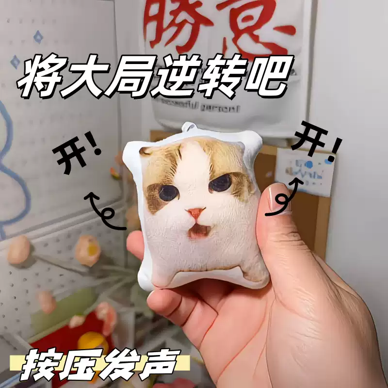 新款网红创意将大局逆转吧开猫me