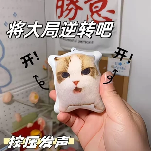 新款网红创意将大局逆转吧开猫meme语音挂件猫咪发声玩偶挂件