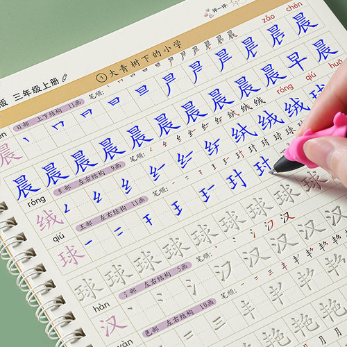 LEXUECULTURE/乐学文化小学生正楷笔画笔顺