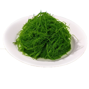 龙须菜新鲜海菜凉拌龙须菜海藻火锅凉拌菜龙须草鹿角菜