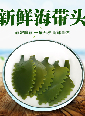 新鲜海带花头树叶非干货2斤装火锅麻辣烫菜特级食材炖汤叶子
