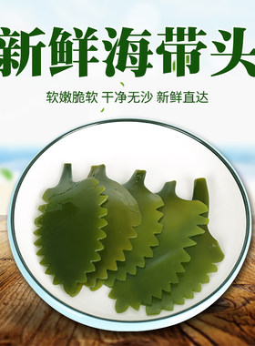 新鲜海带花头树叶2火锅麻辣烫菜