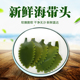 新鲜海带花头树叶非干货2斤装 火锅麻辣烫菜特级食材炖汤叶子