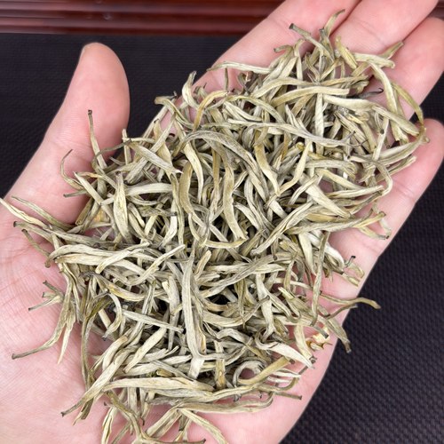 2025新茉莉花茶4窨茉莉花王精品小芽浓香型鲜爽甘甜50克茶叶罐装