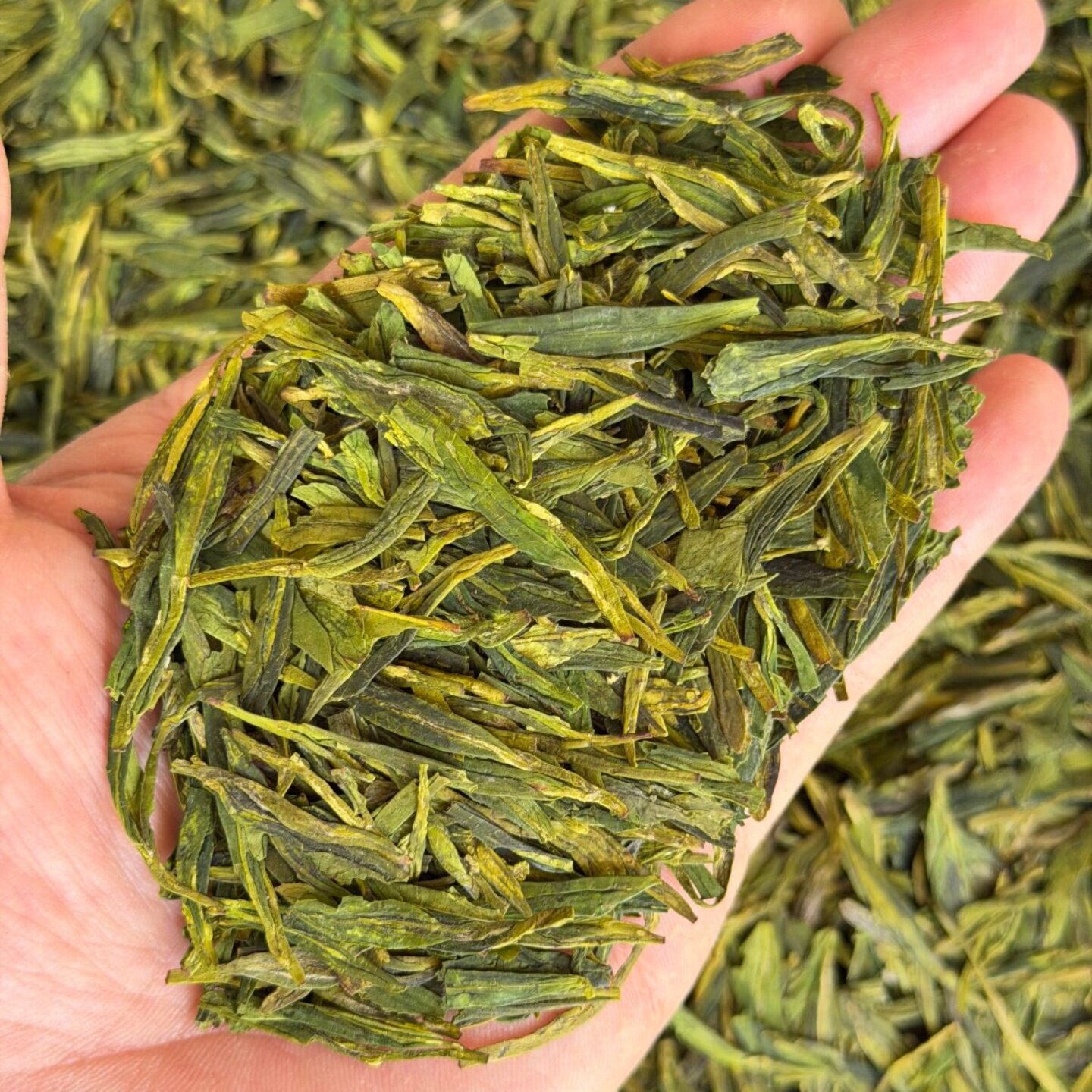 三王堂雨前龙井43绿茶250g粟香浓