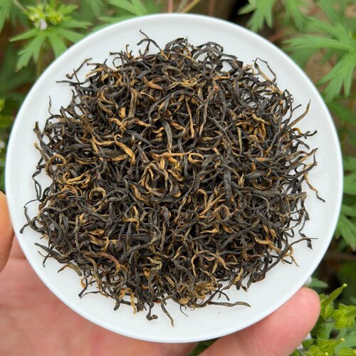 祁门核心产区头采祁红乡高山红茶