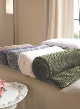 Solid Color Mesh Blanket Coral Fleece Knee Blanket菠萝格毛毯