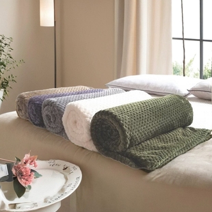 Solid Color Mesh Blanket Coral Fleece Knee Blanket菠萝格毛毯