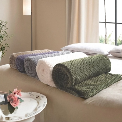 Solid Color Mesh Blanket Coral Fleece Knee Blanket菠萝格毛毯