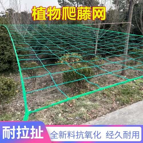 植物爬藤网种植丝瓜苦瓜搭架园艺吊瓜葡萄月季豆角百香果黄瓜攀爬