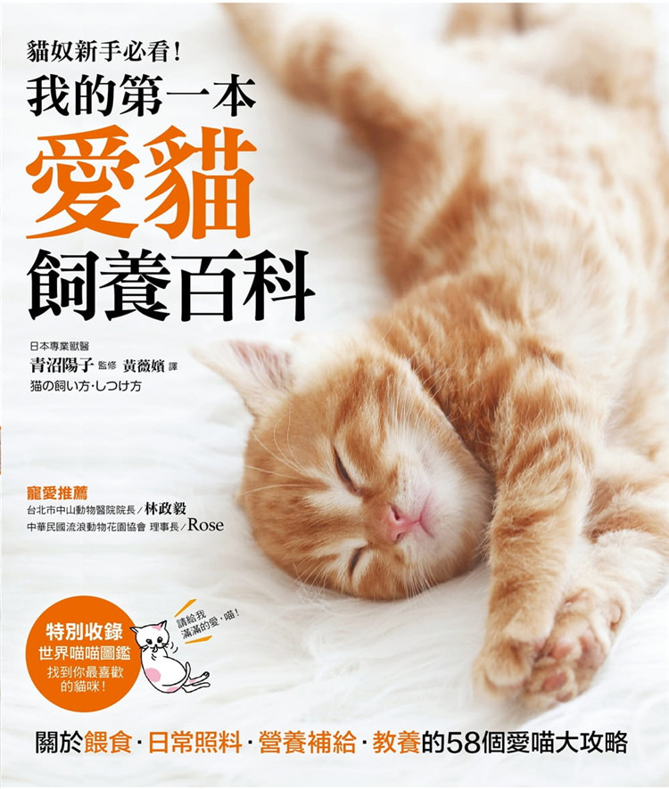 现货 我的第一本爱猫饲养百科 【养猫专书全图解】关于喂食 日常照料 营养补给 教养的58个爱喵大攻略 青沼阳子 进口原版
