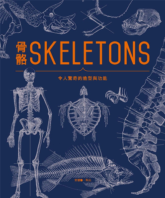 预售 骨骼SKELETONS：令人惊奇的造型与功能 18 安德鲁.科克 北星 进口原版