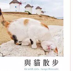预售 正版 原版进口图书 岩合光昭 与猫散步 大石国际文化