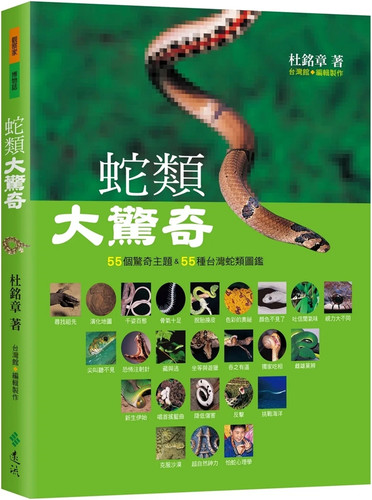 蛇类大惊奇：55个惊奇主题