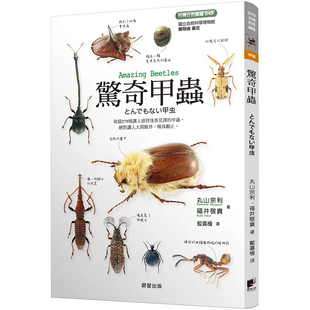 现货  惊奇甲虫 20  丸山宗利, 福井敬贵   晨星   原版进口  甲虫世界无奇不有 特殊外形或是生态习性 外型奇特的和平主义者