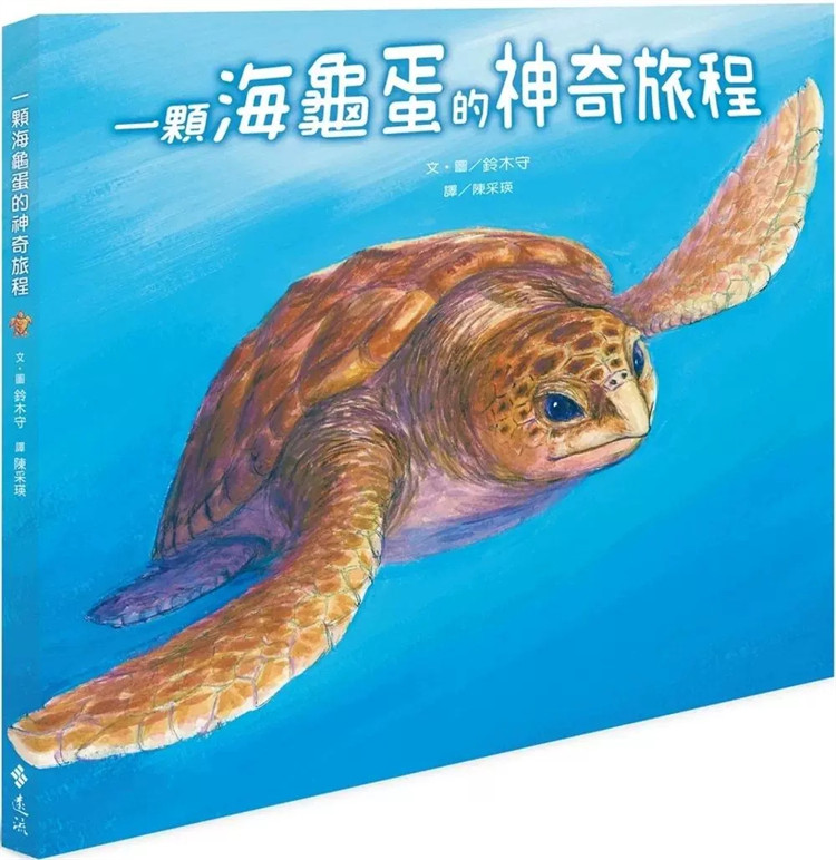 预售  一颗海龟蛋的神奇旅程（2版）23 铃木守 远流 进口原版 童书 绘本