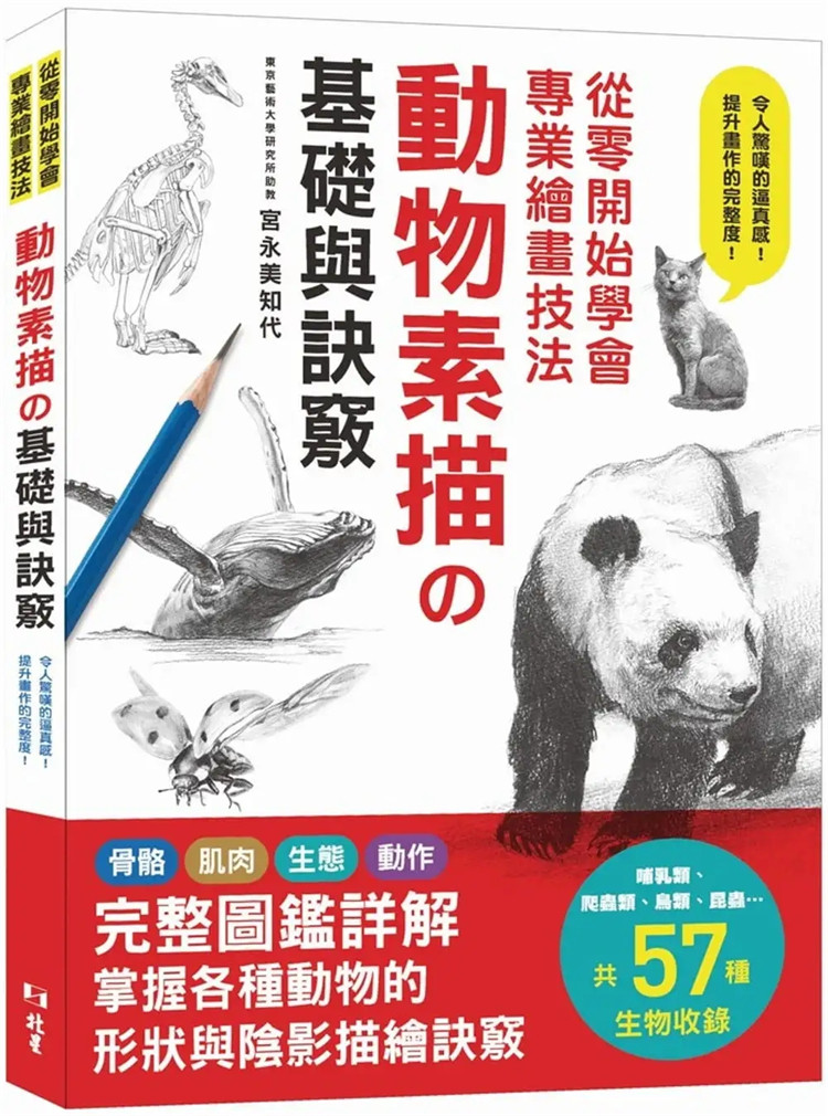 预售 从零开始学会专业绘画技法：动物素描の基础与诀窍 22 北星 进口原版