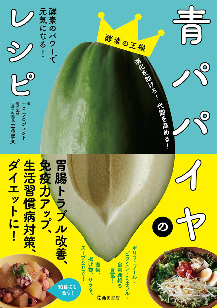 22 池田书店 工藤 孝文 日文 进口原版  料理