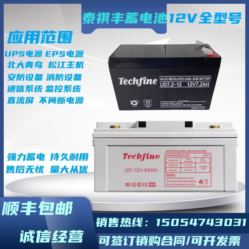 Techfine泰琪丰蓄电池UD12V-7.2AH12A24A38A40A65A100直流屏UPS