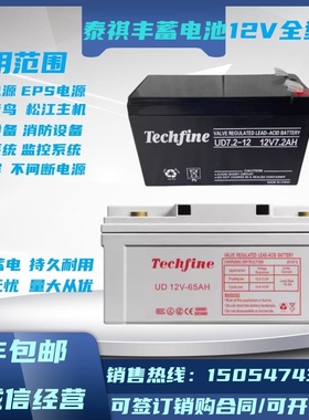 Techfine泰琪丰蓄电池UD12V-7.2AH12A24A38A40A65A100直流屏UPS