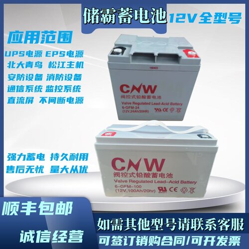 CNW储霸蓄电池6-GFM 12V24AH/38AH/65AH/100AH UPS/EPS消防/监控