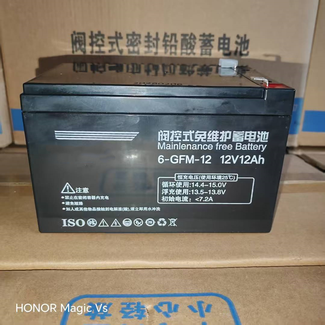 6-GFM-12阀控式免维护蓄电池12V12AH消防集中照明应急电源专用