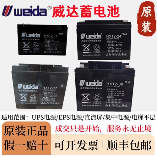 利达消防主机应急照明蓄电池12V