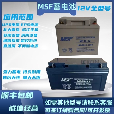MSF蓄电池MF-12V17A24A38A40A65A100A机房直流屏备用铅酸免维护