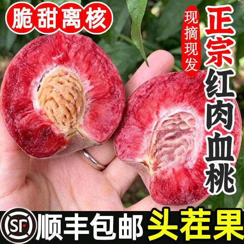 顺丰正宗老树血桃新鲜桃