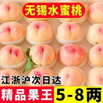 正宗无锡特产白凤水蜜桃礼盒装撕皮软桃时令新鲜水果孕妇当季桃子