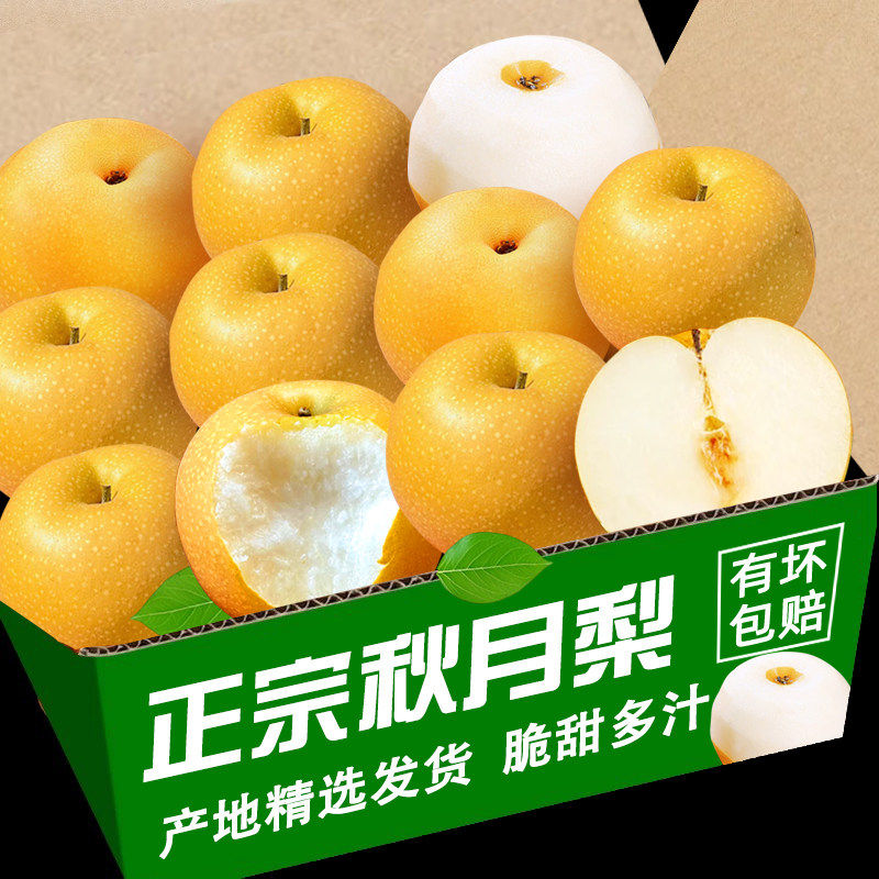 正宗山东秋月梨9斤新鲜冰