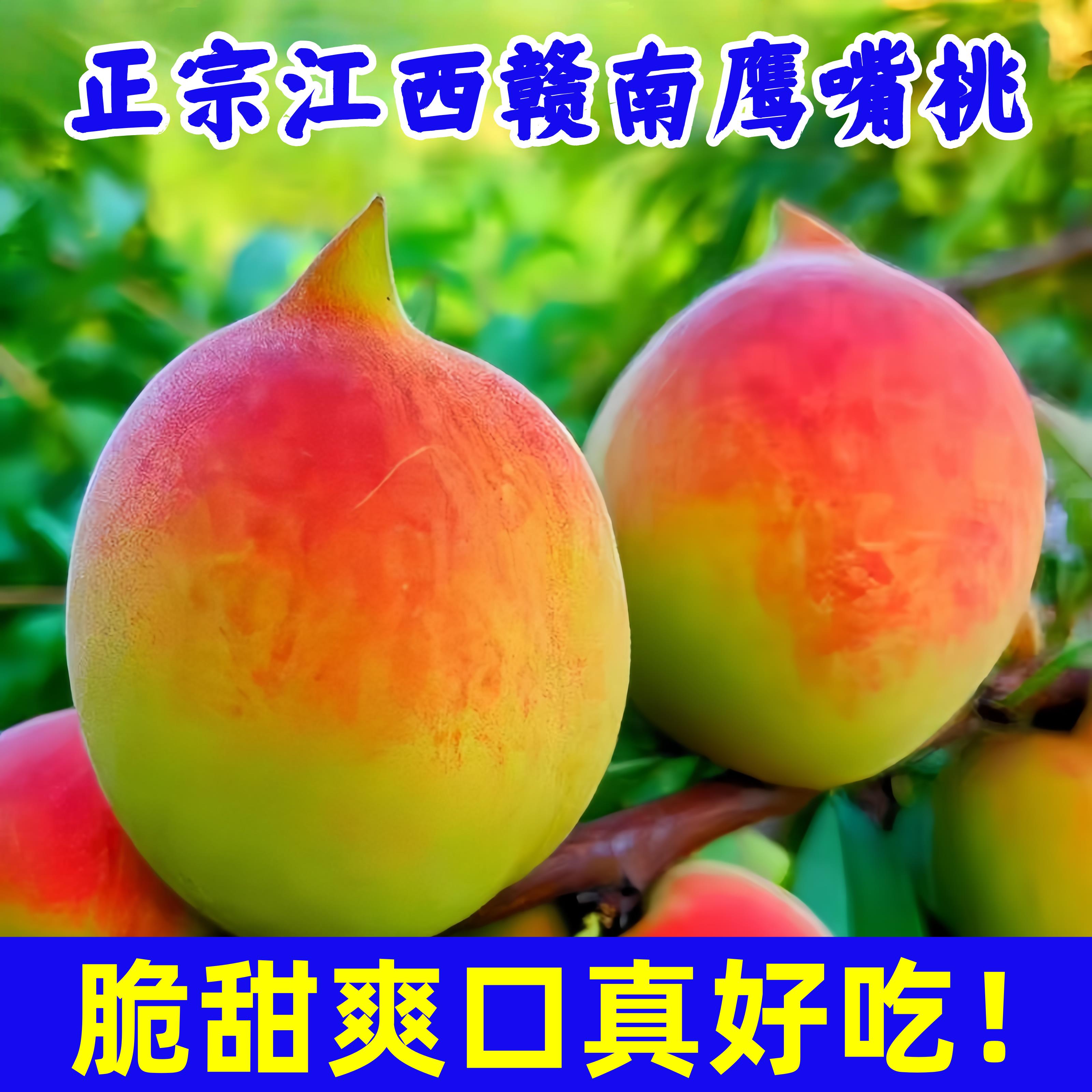 正宗鹰嘴桃现摘现发精选