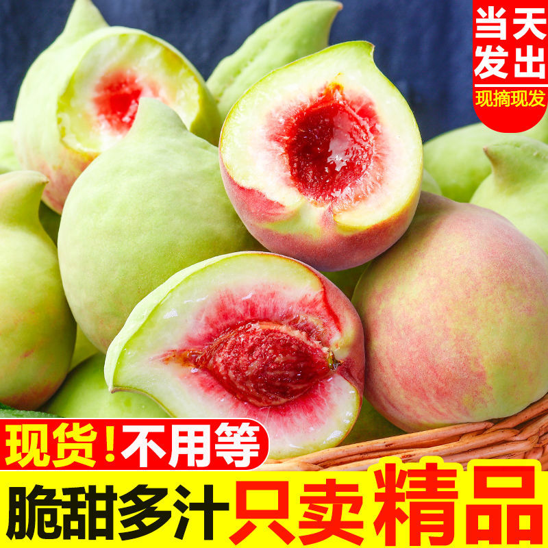 正宗云南蒙自鹰嘴桃新鲜应季水果脆甜大果孕妇精选脆毛桃甜蜜桃子