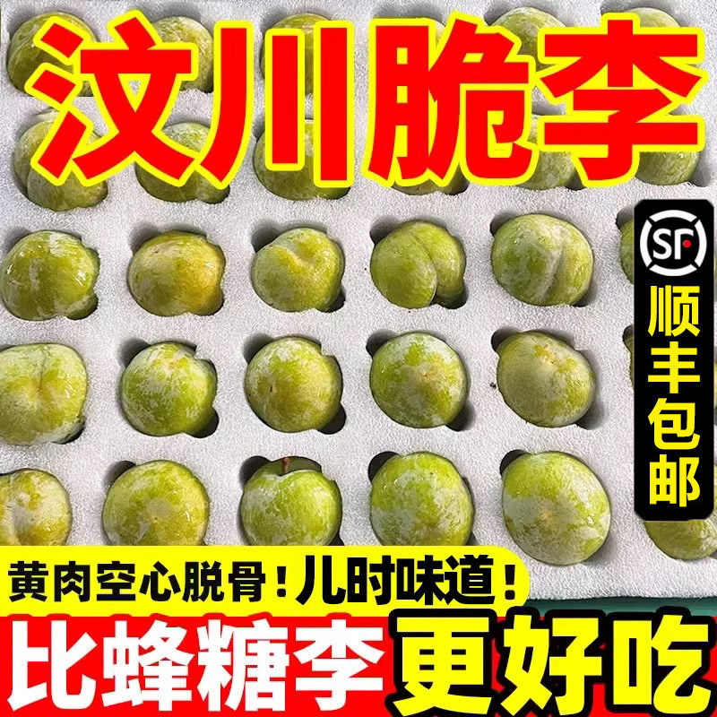 现摘四川脱骨脆甜大李子5