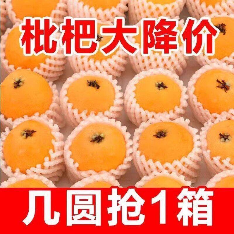 枇杷鲜果新鲜当季水果大五星枇杷整箱现摘特级琵琶果老树现摘礼盒