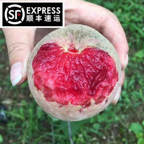 老兵顺丰胭脂红血桃5斤红