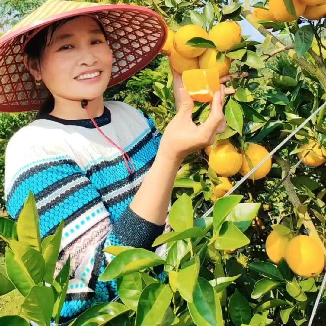 10斤产地直发正宗赣南脐橙江西甜橙当季新鲜现摘现发水果孕妇